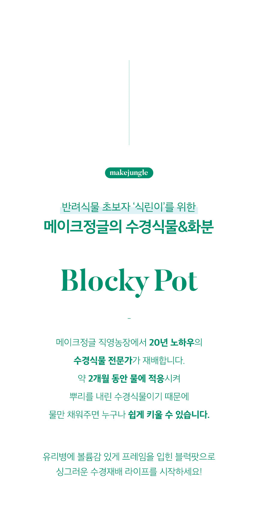 blocky_02.jpg