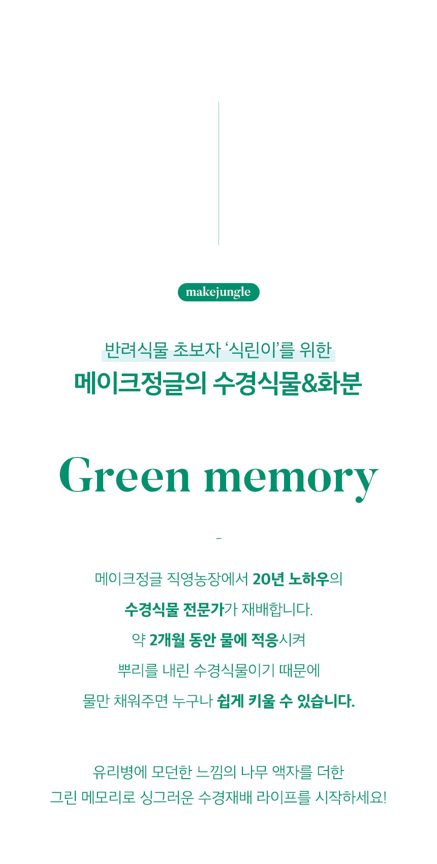 green_memory_02.jpg
