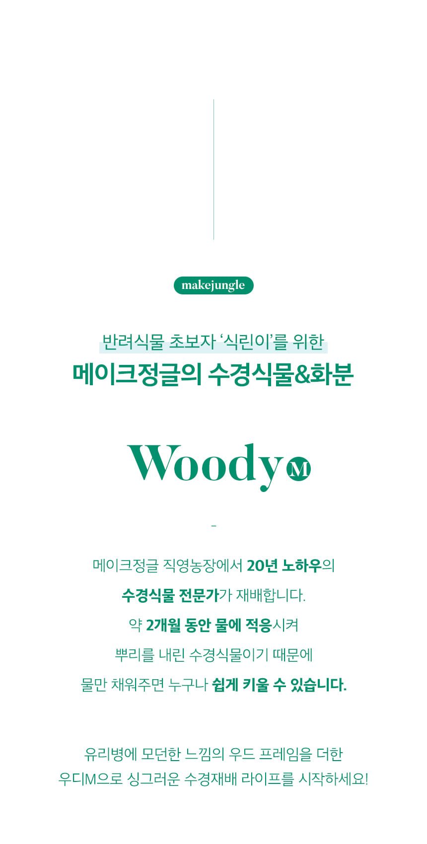 woody_m_02.jpg